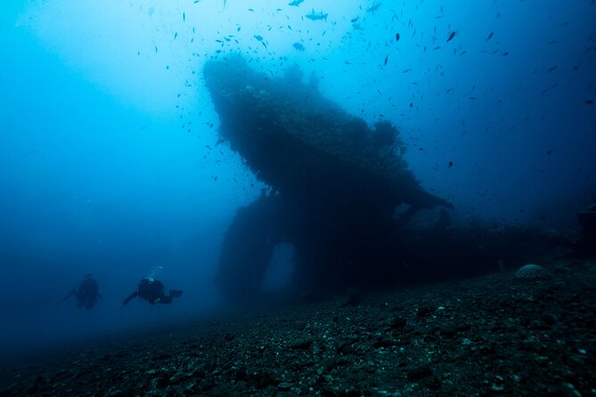 Full-Day Discover Scuba Diving Tour for Beginners in Tulamben - Coral garden underwater time: an easy first taste of marine life