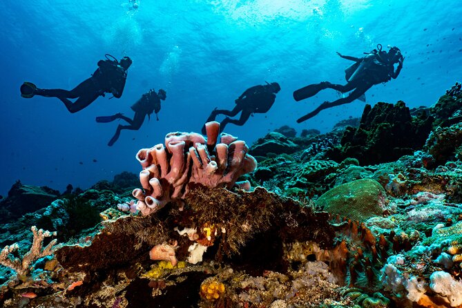 Full-Day Discover Scuba Diving Tour for Beginners in Tulamben - USS Liberty wreck: the famous moment for first-timers