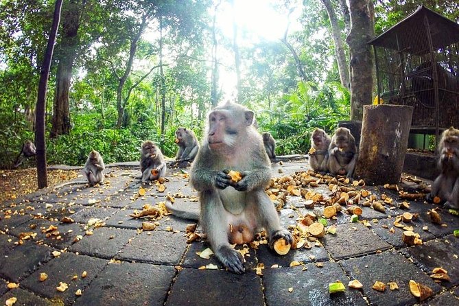 Full-Day in Bali: Private Design-Your-Own Tour - The Smart Way to Build Your 10-Hour Route