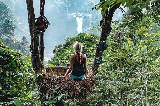 Full-Day in Bali: Private Design-Your-Own Tour - Tegalalang Rice Terrace: The Photo Stop You’ll Want to Slow Down For