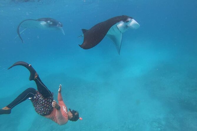 Full Day Nusa Penida Manta Point Snorkeling and West Island Tour - Stop 2: Gamat Bay snorkeling for reefs and fish