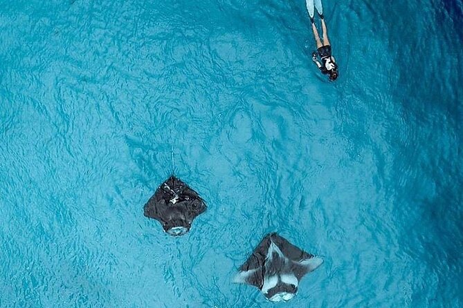 Full Day Nusa Penida Manta Point Snorkeling and West Island Tour - Broken Beach: the natural archway and fast photo stop energy