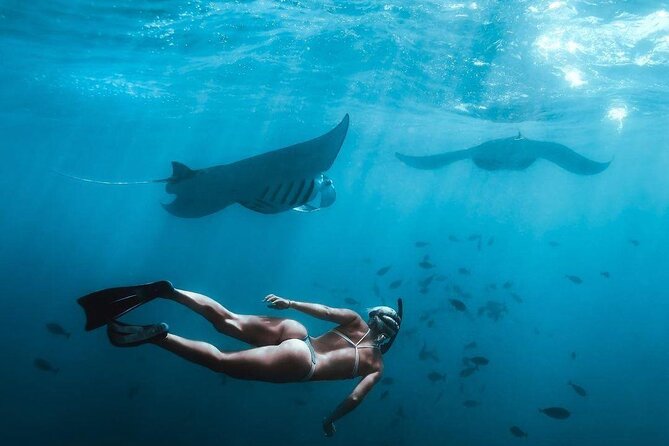 Full Day Nusa Penida Manta Point Snorkeling and West Island Tour - Getting to Penida: Sanur fast boat and a long-but-managed day
