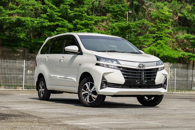 Full-Day Private Car Charter in Bali with Local Guide - Private car charter from Ubud: the real value is control
