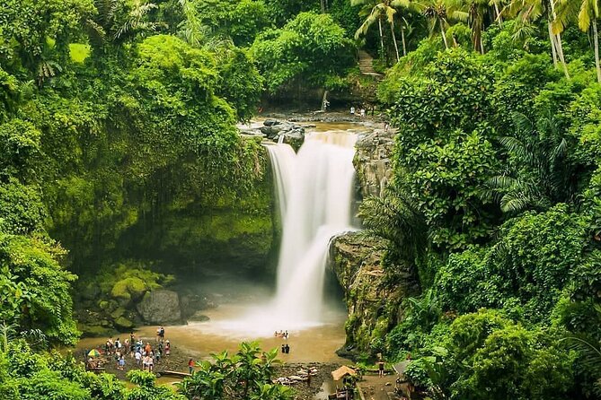 Full Day Private Guided Tour in Bali - Tegenungan Waterfall: When Photos Meet Comfort (and Ticket Reality)