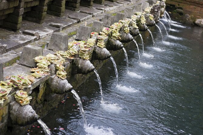 Full Day Private Guided Tour to Bali - Your private driver-guide in Ubud: where the day actually feels easy