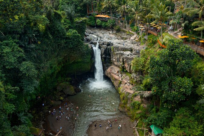 Full Day Private Guided Tour to Bali - Stop 4: Tegalalang Rice Terrace—cliff-edge farming you can feel