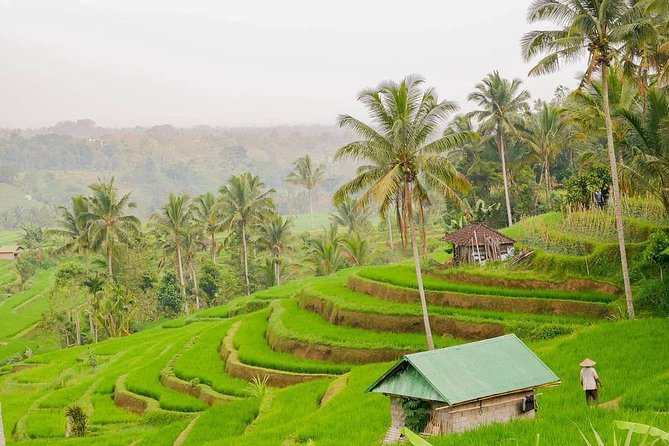 Full-Day Private North Bali Tour with Free WiFi - Stop 1: Tanah Lot Temple and the Ocean-Rock Show