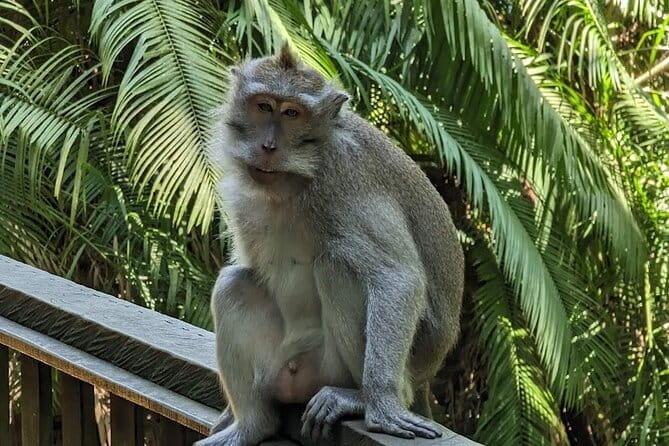 Full Day Private Tour to Ubud Waterfall and Uluwatu Sunset - Price and logistics: is $90 worth it?