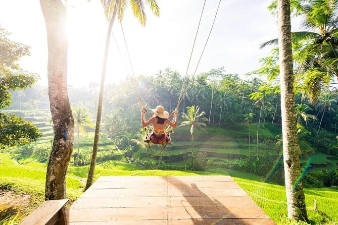 Full Day Private Tour to Ubud Waterfall and Uluwatu Sunset - Sacred Monkey Forest Sanctuary: temple + monkeys, side by side