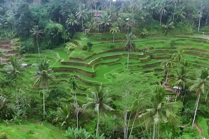 Full Day Private Tour to Ubud Waterfall and Uluwatu Sunset - Kecak and Fire Dance: Ramayana storytelling with a cliffside backdrop