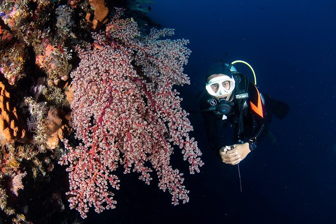 Full-Day Scuba Diving Experience of USAT Liberty in Tulamben - Timing That Fits a Full-Day Schedule (and what to watch for)