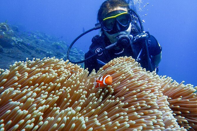 Full-Day Scuba Diving Experience of USAT Liberty in Tulamben - USAT Liberty Wreck: where coral meets the ship’s story