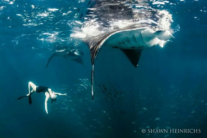 Full-Day Tour in Nusa Penida Island + Snorkeling Experience - Gamat Bay snorkeling and the black-sand contrast