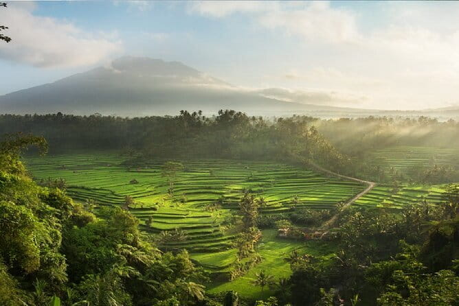 Full Day Tour to Water Temples UNESCO Rice Terraces in Bali - UNESCO subak irrigation: the thread that connects every stop