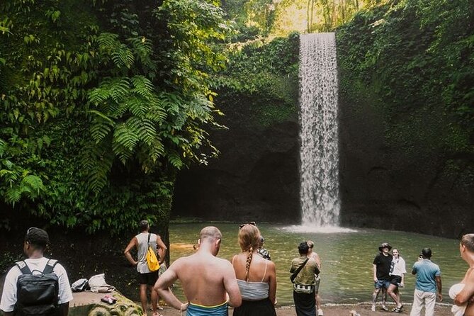 Full Day Ubud Custom Private Tour with Hotel Pickup - Private Ubud days start with Wayan’s flexibility
