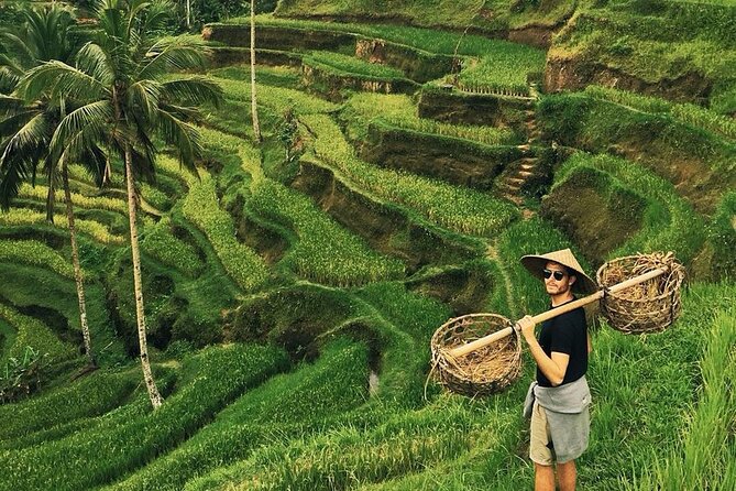 Full Day Ubud Custom Private Tour with Hotel Pickup - Sacred Monkey Forest Sanctuary: jungle paths and temple ruins with macaques