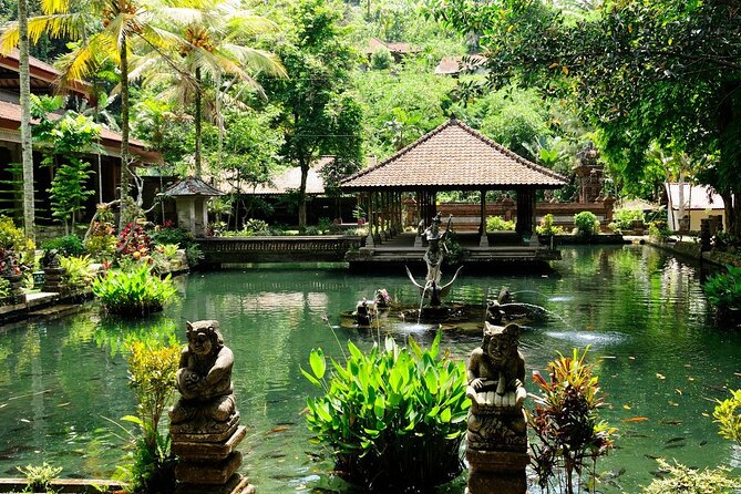 Full Day Ubud Custom Private Tour with Hotel Pickup - Happy Swing Bali: a fun photo stop above the rice fields