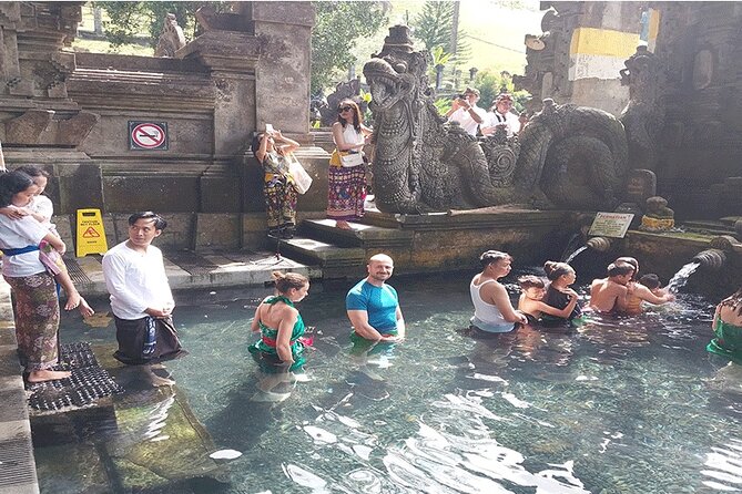 Full Day Ubud Tour - Price and Logistics: What You’re Really Paying For