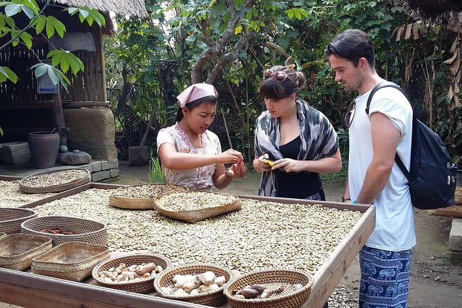 Full-Day Ubud Village including Mt Batur Tirta Empul and Sightseeing Tour - Sari Amerta Batik Collection: where wax motifs become real craft