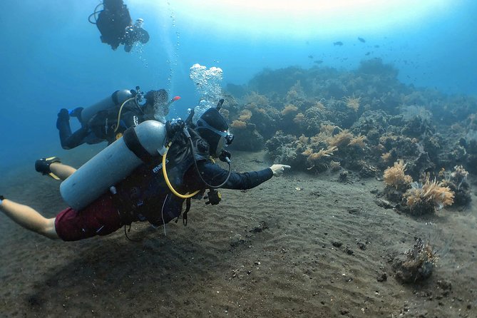 Fun Diving Tulamben Bali - For Certified Divers - USAT Liberty in Tulamben: why this WWII wreck is so accessible