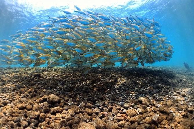 Fun Diving Tulamben Bali - For Certified Divers - Who should book this USAT Liberty shipwreck day