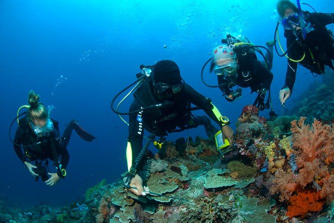 Fun Diving Tulamben Bali - For Certified Divers - The morning pickup from Seminyak and the ride to the coast