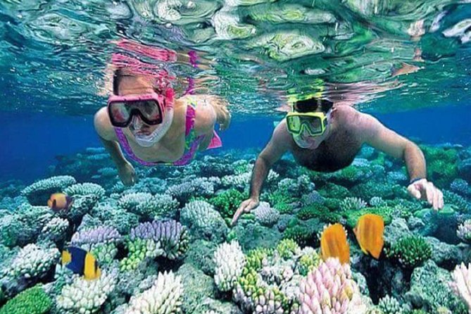 Gate Heaven Tirta Gangga With Snorkeling Private Guided Tour - Private pickup and the drive strategy from Seminyak