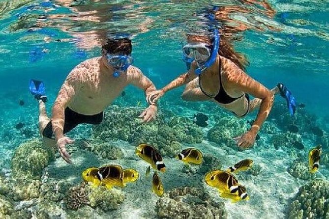 Gates of Heaven Temple and Blue Lagoon Snorkeling with All-inclusive - Snorkeling gear and the instructor: why beginners get better results here