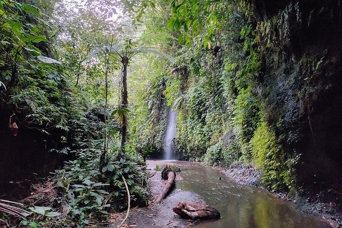 Get wet on Bali's most stunning waterfalls - Tukad Cepung Waterfall: the jungle-walk-in moment