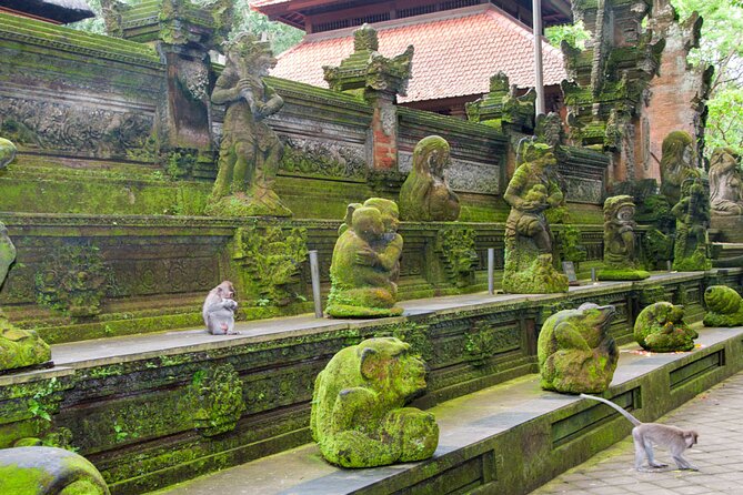 Goa Gajah / Elephant Cave Temple And Ubud Tour - All Inclusive - Tegalalang Rice Terrace: classic views with time to breathe