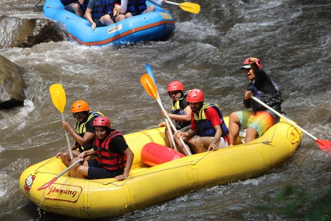 Green Bali Rafting Ticket And Transfer - Private group feel with mobile ticket and group discounts