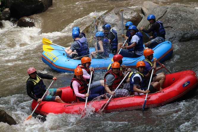 Green Bali Rafting Ticket And Transfer - Who this rafting day fits best (and who might skip it)