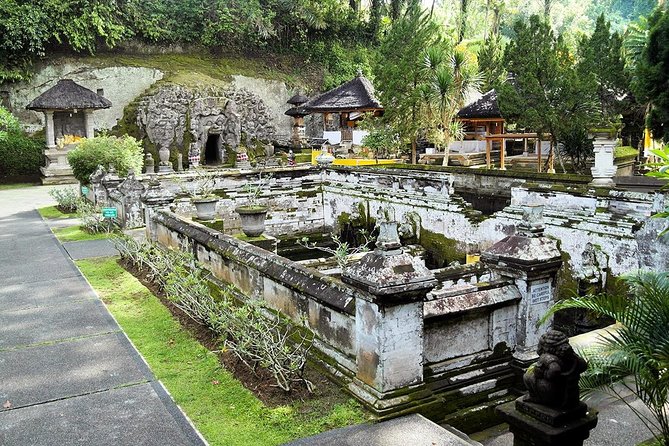 Half Day Bali Tour - Stop 3: Tegalalang Rice Terrace, photos, and lunch on your terms