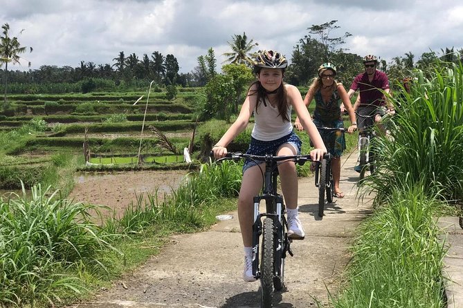 Half Day Cycling Tour ( Manual Bike ) - Key Things To Know