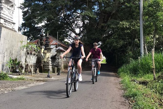 Half Day Cycling Tour ( Manual Bike ) - Who Should Book This Manual Cycling Tour?