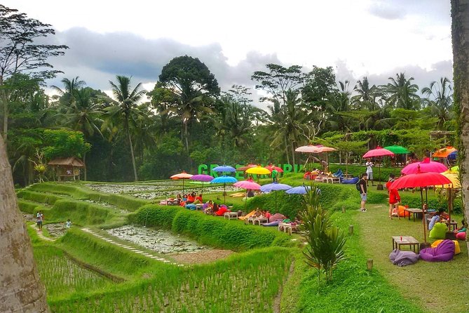 Half Day Cycling Tour ( Manual Bike ) - Should You Book This Half-Day Cycling Tour Or Pass?