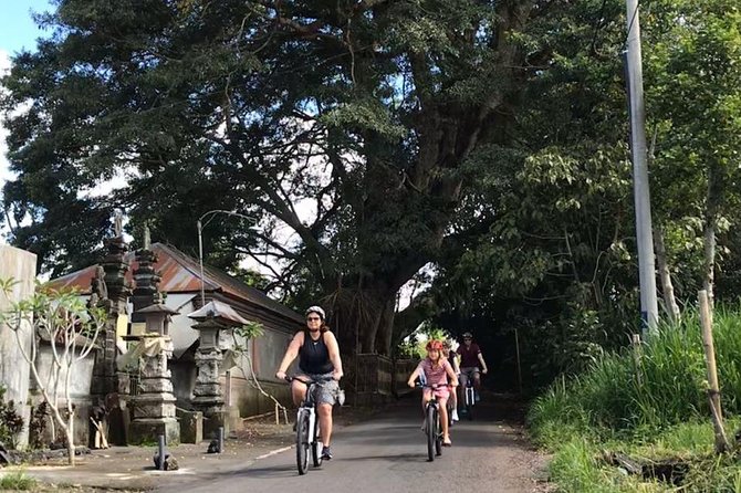 Half Day Cycling Tour ( Manual Bike ) - Stop-by-Stop: Tegallalang Photos, Abuan Culture, And Rice Irrigation Views