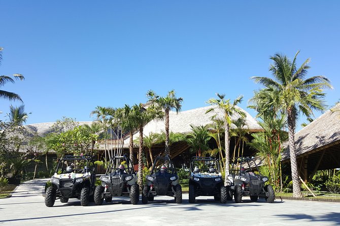 Half Day Jungle Buggies in Bali with Guide - Price and value: what $57 gets you in Bali