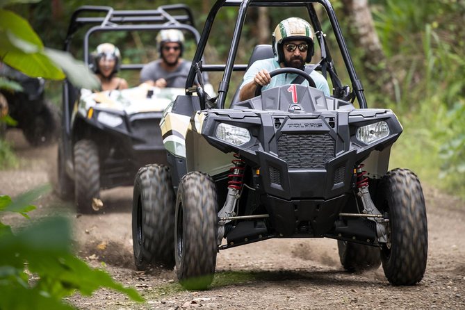 Half Day Jungle Buggies in Bali with Guide - Who should book the jungle buggies (and who should skip)