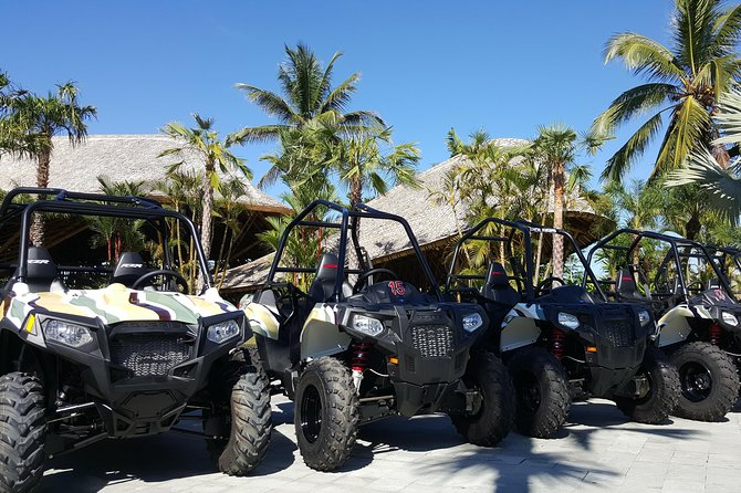 Half Day Jungle Buggies in Bali with Guide - Quick FAQ for planning your morning