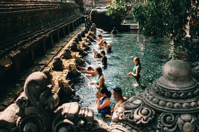 Half Day Private Tour in Ubud - Tegalalang Rice Terrace (UNESCO): famous views plus optional action