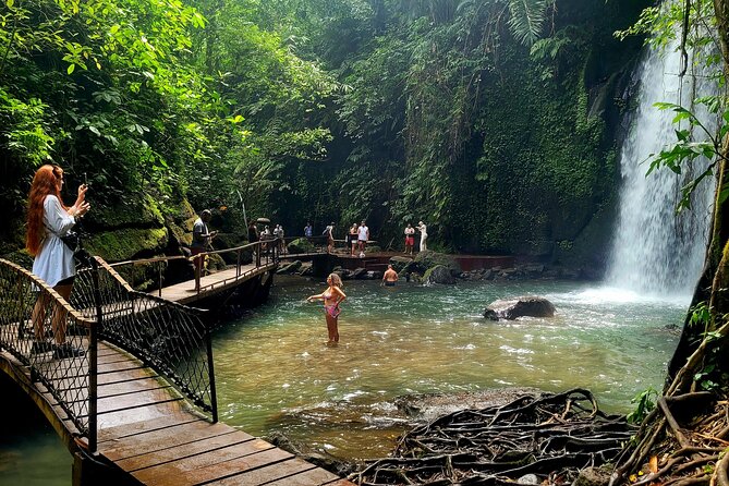 Half Day Tour Ubud Rice Terrace with Activities and Waterfall - Key highlights to look for