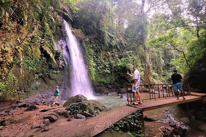 Half Day Tour Ubud Rice Terrace with Activities and Waterfall - Abian Desa Rice Terrace: views plus pick-your-adventure