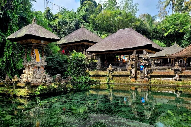 Half Day Tour Ubud Rice Terrace with Activities and Waterfall - Transportation, timing, and how to plan your morning