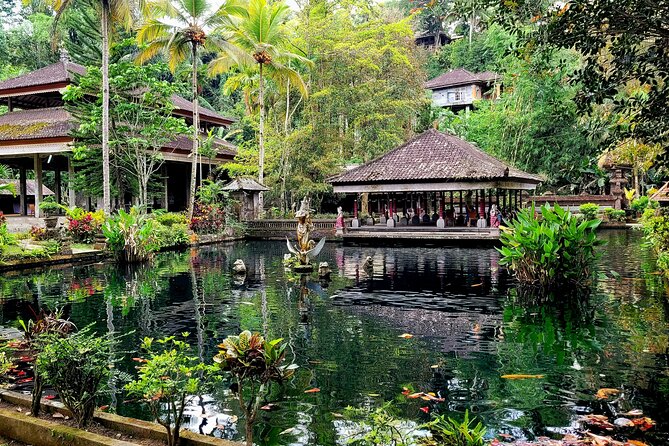 Half Day Tour Ubud Rice Terrace with Activities and Waterfall - Who this tour suits best (and who might want something else)