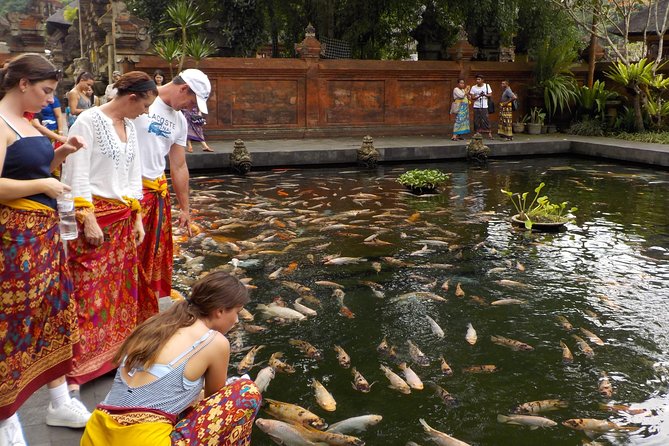 Half-Day Ubud Electric Cycling Tour to Tirta Empul Water Temple - Electric bikes and temple time: why this Ubud half-day works