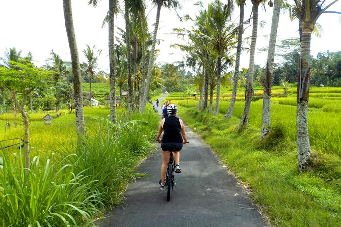 Half-Day Ubud Electric Cycling Tour to Tirta Empul Water Temple - From pickup to Tirta Empul: how the morning flows