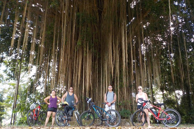 Half-Day Ubud Electric Cycling Tour to Tirta Empul Water Temple - Lunch at Pangkon Bali Resto & Agrotourism: the satisfying finish
