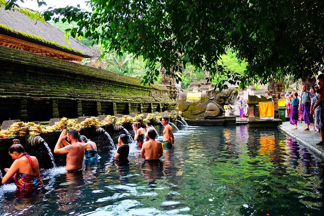 Half-Day Ubud Electric Cycling Tour to Tirta Empul Water Temple - Who this tour is best for (and who should skip it)